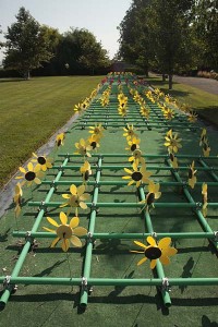 Cornerstone Ken SMith Daisy Border