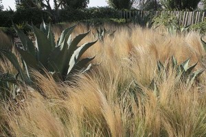 Cornerstone Oehme va Sweden 1