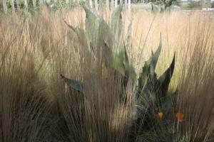 Cornerstone Oehme va Sweden 3