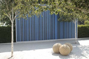 Cornerstone Topher Delaney overall view