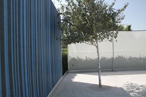 Cornerstone Topher Delaney tree and backgrounds