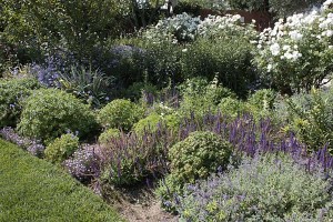 Cornerstone flowerbeds 1