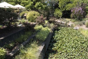 J Vineyards seating over pond