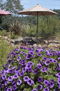 Mazzocco Vineyard outdoor seating