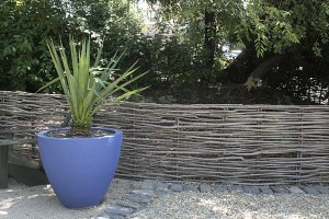Potted plant in Healdsburg