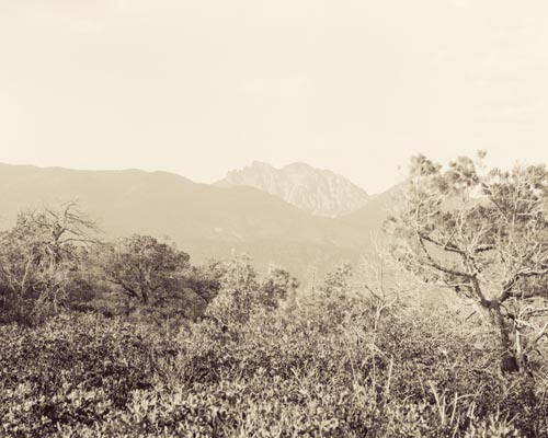 chiricahua-cochise-head.jpg