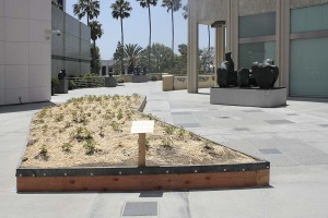 Asa Sonjasdotter The Way Potatoes Go overview