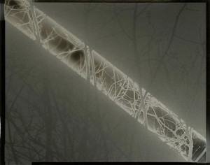 Chris McCaw Sunburn 325