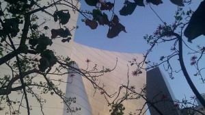 Disney Hall Garden coral tree and building