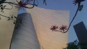Disney Hall Garden coral tree and building alt