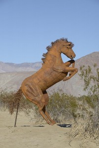 Horse with rectal probe