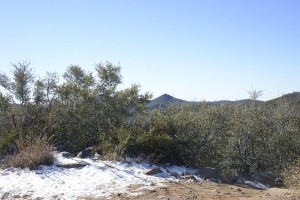 Mt Laguna snow