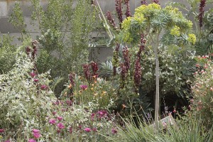 Raised garden detail