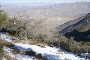 Snow over the desert