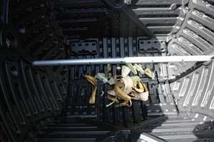 The first food scraps in the composter